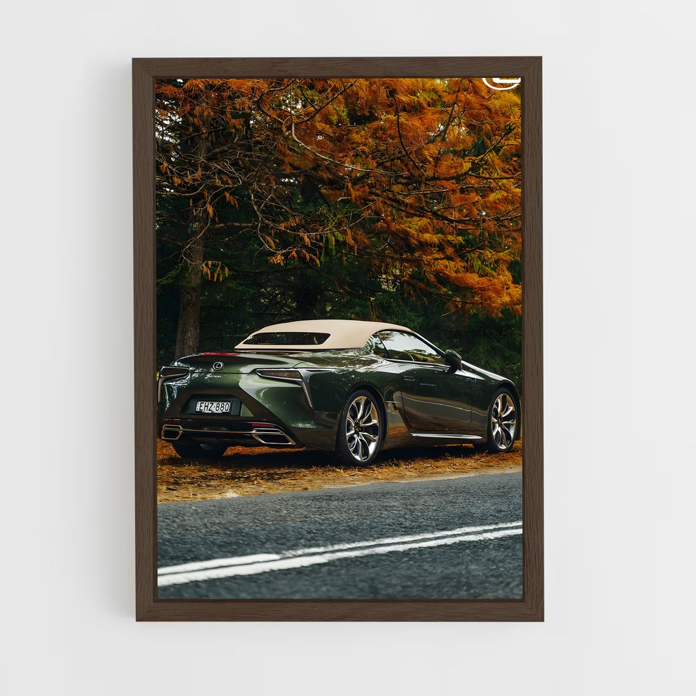 Poster Lc 500 Dream Ride – affiche Lexus (vue 5)